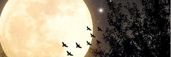ArtOfMind7 Profile Banner