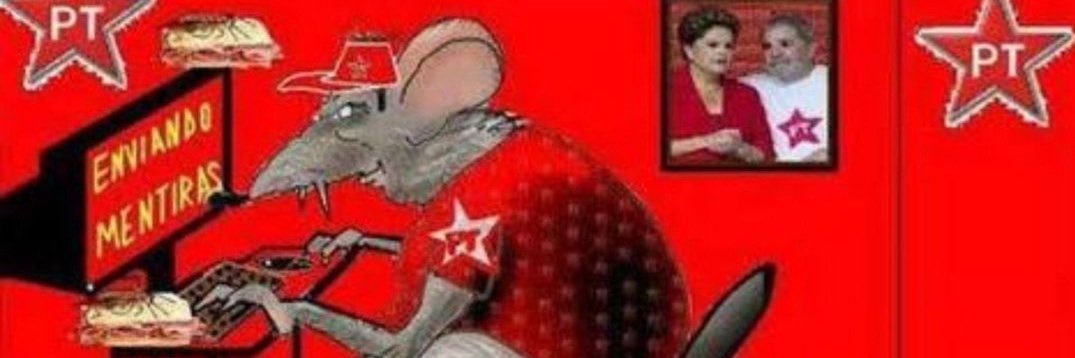 Becckyita dos Santos || No Brand banner