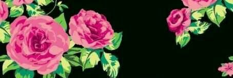 kaista96's profile banner image