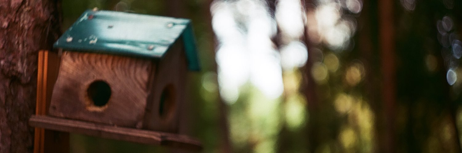 Медовичный эксперт banner