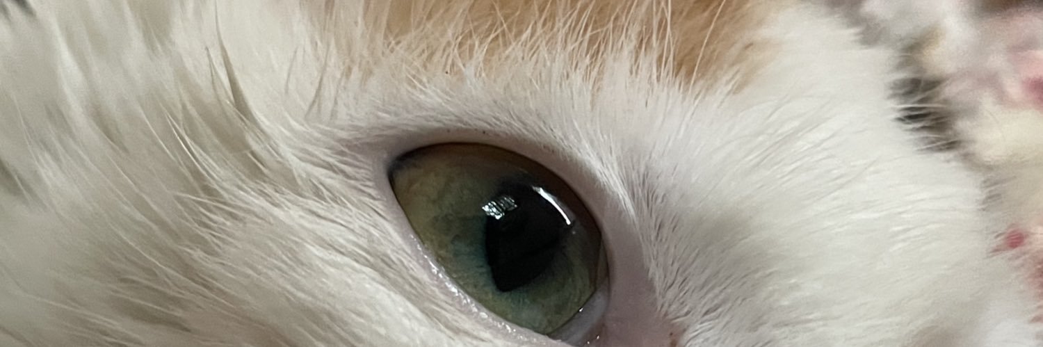 Meenahbee banner