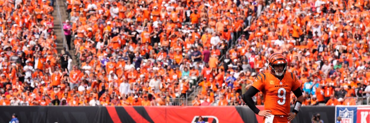 Drake Burton's banner