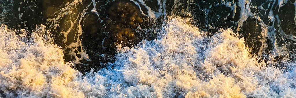 🌊 banner