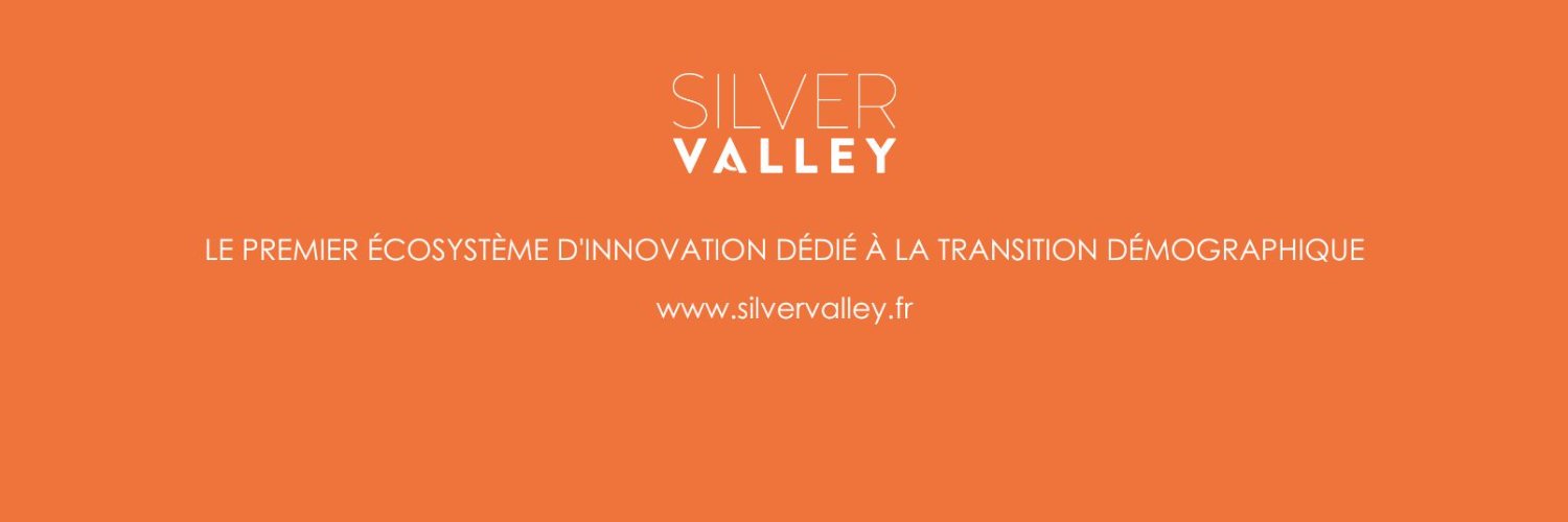 Silver Valley banner