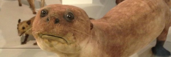 BobbyCross_Eco Profile Banner