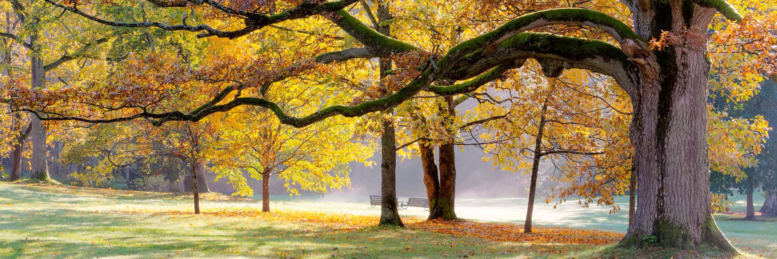 Lothar M @Tatton IM banner