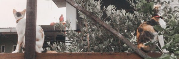 daaaahlu Profile Banner