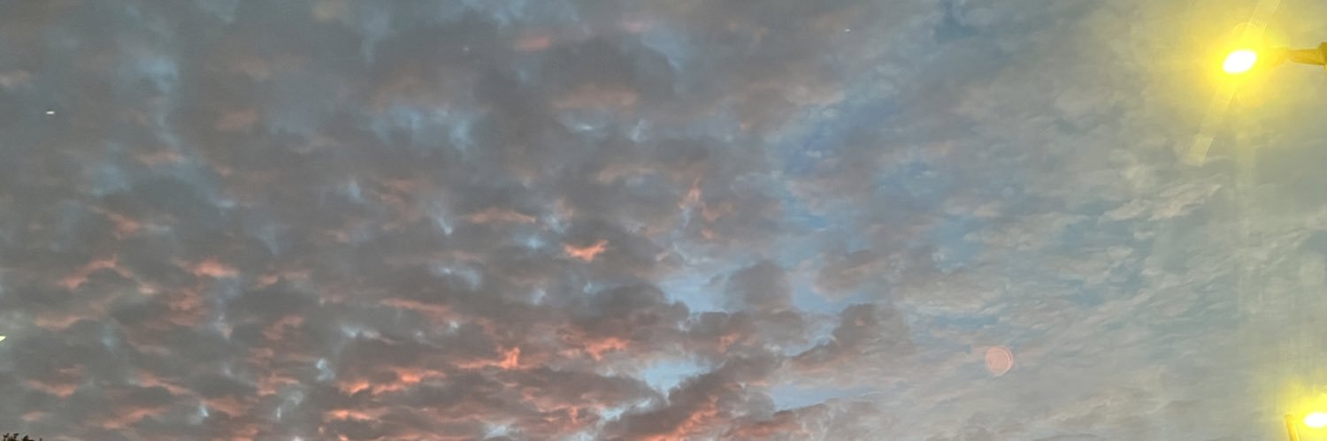 alvsmariah's profile banner image