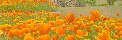 ft_503's profile banner image
