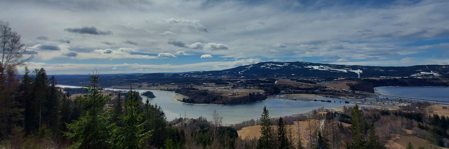 Bitcoin environmentalist banner