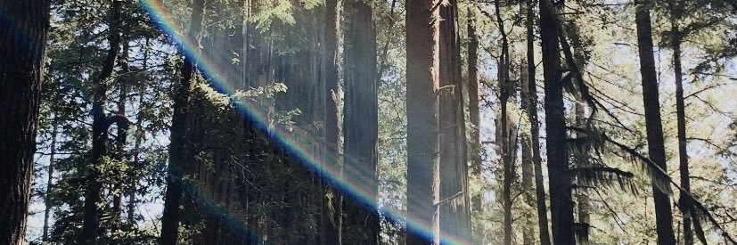 CanonPayton's profile banner image