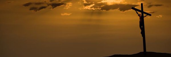 SalaciousSkunk Profile Banner