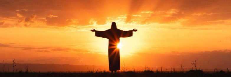 Salacious Skunk banner