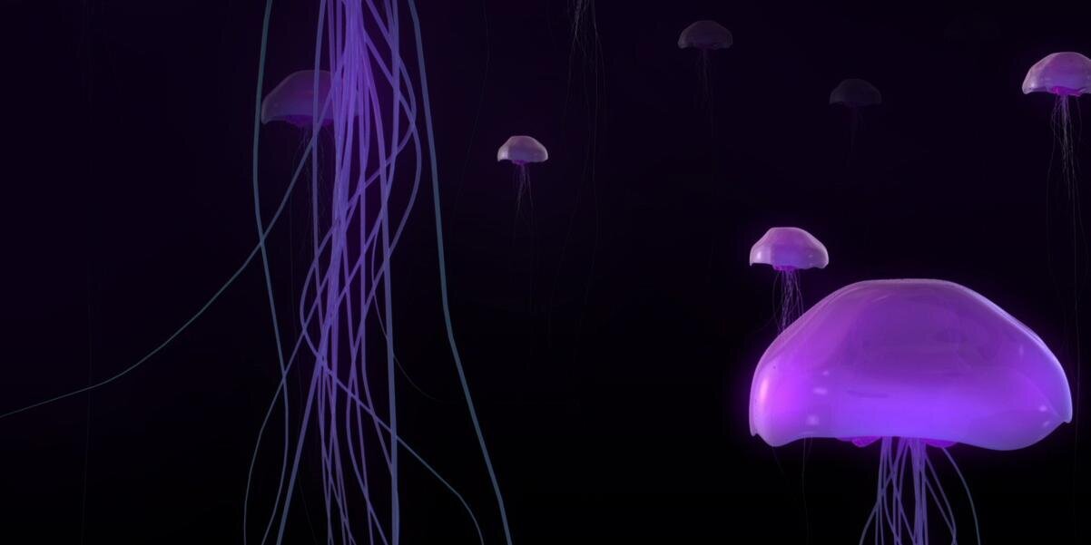 Kristina McDonald banner