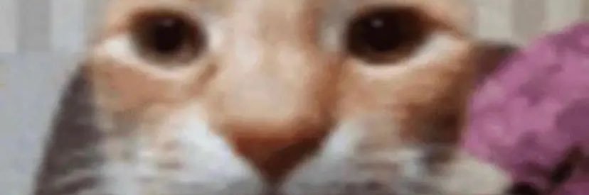 marlowepeyton's profile banner image