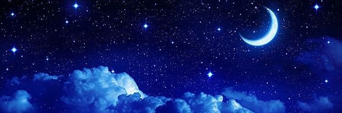 Meg⊹܀(help at pinned!) banner