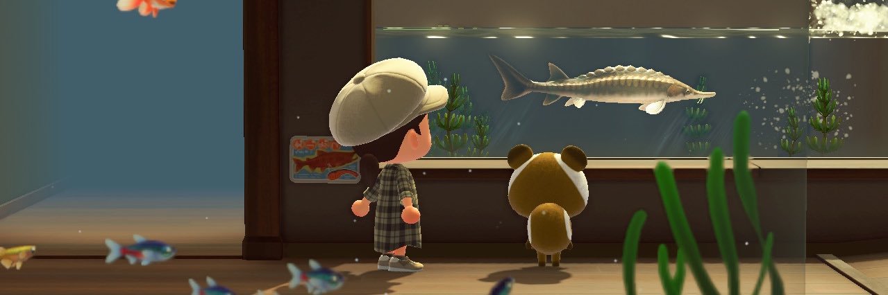 hamemoji's profile banner image