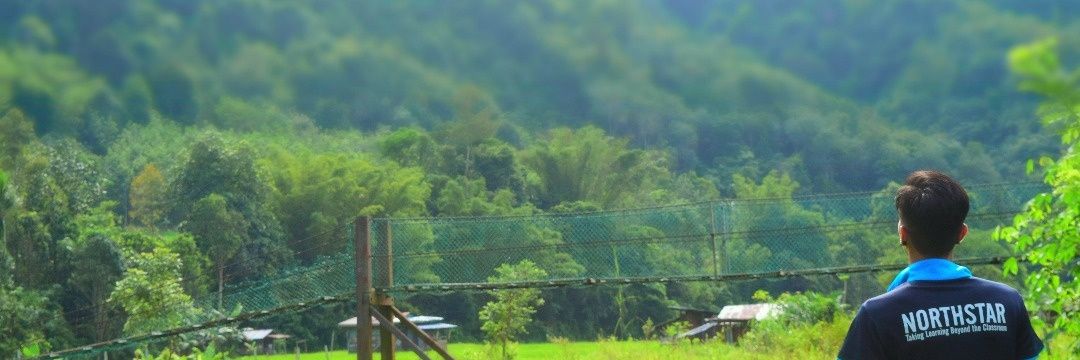 wildborneo's profile banner image