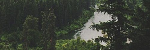 BitchyElena's profile banner image