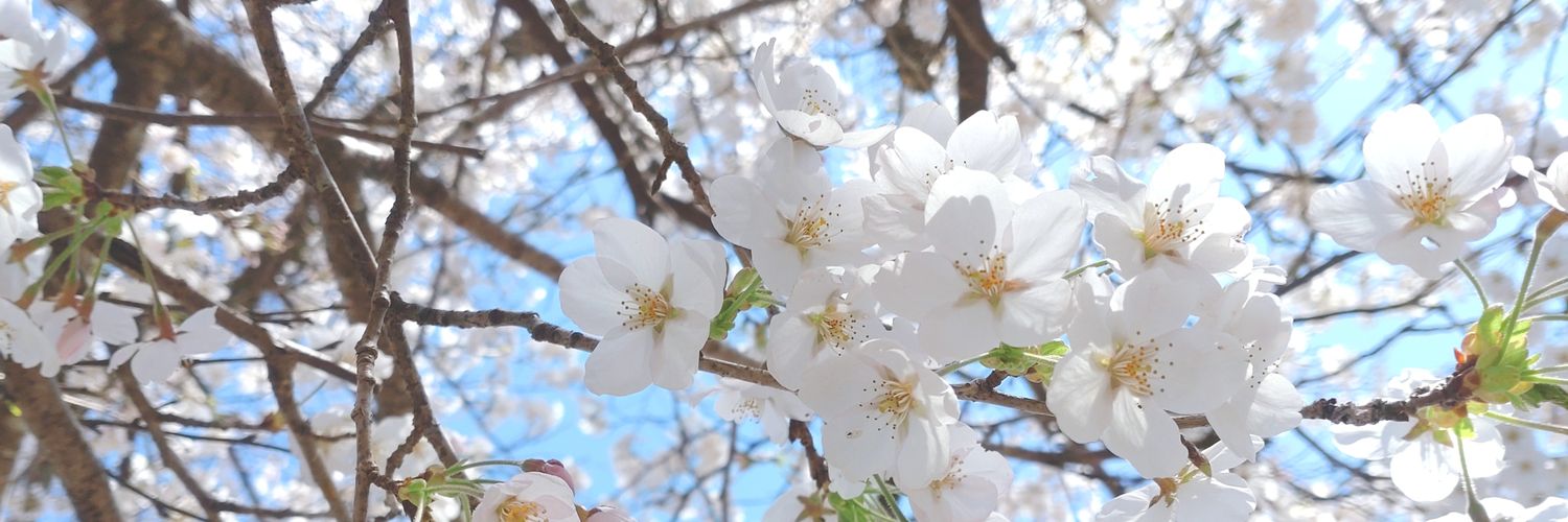 clover1110's profile banner image