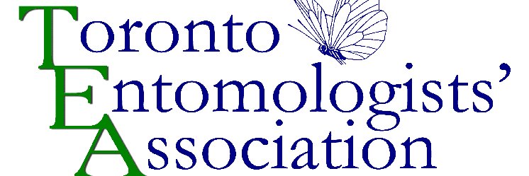 Ontario Insects banner