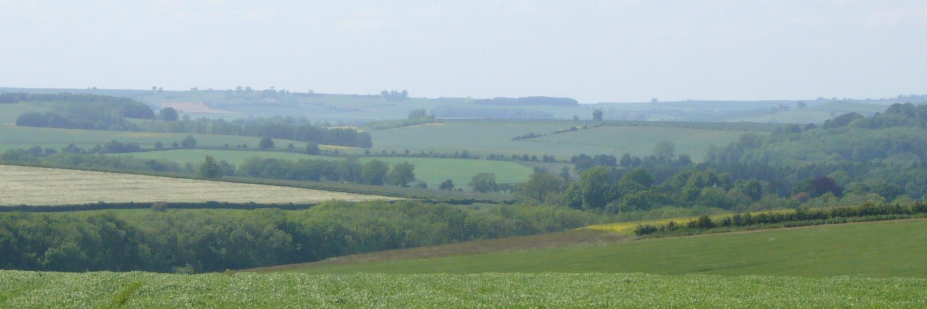 GreenfieldCP's profile banner image