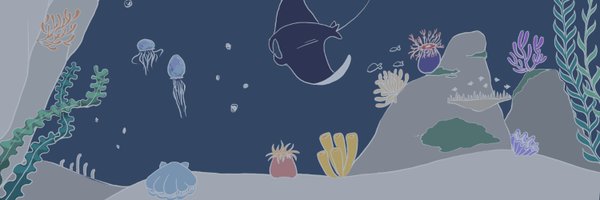 Scallop_io Profile Banner