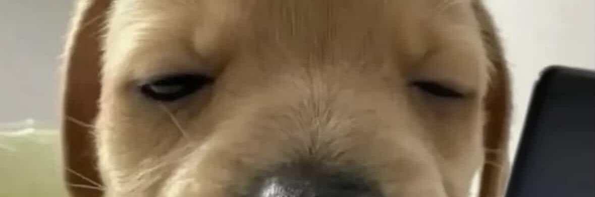 whatwhatYo_'s profile banner image