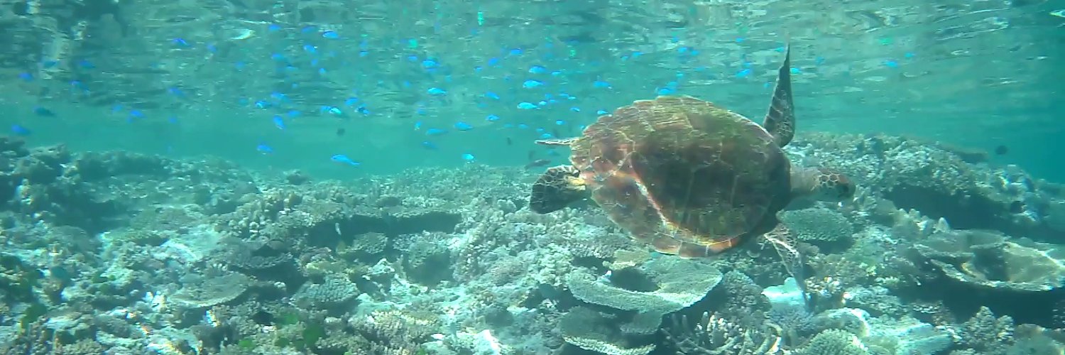 Nick van der Geest banner