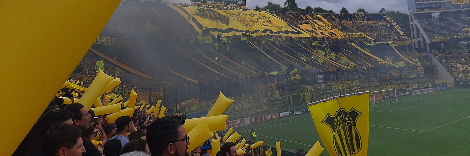 diegoborgnia's profile banner image