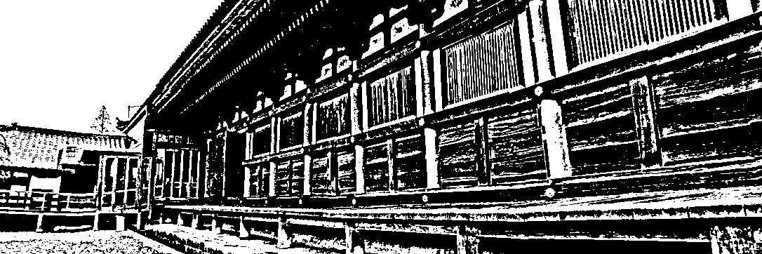 JoJo-🪰's banner