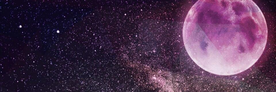 luna0171's profile banner image