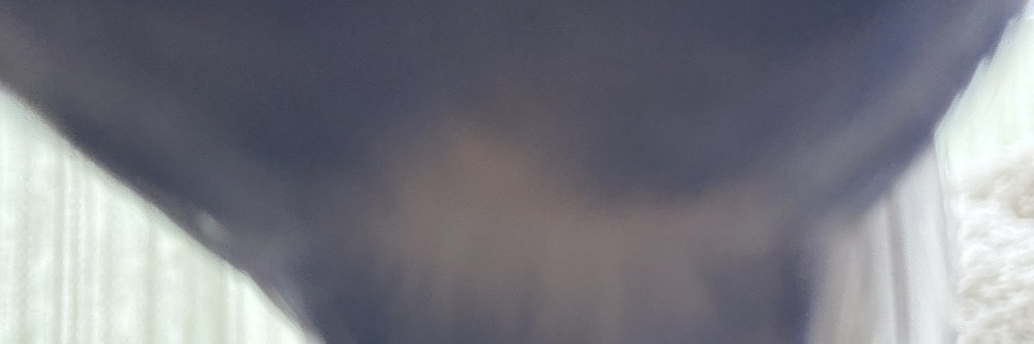 びび子 banner