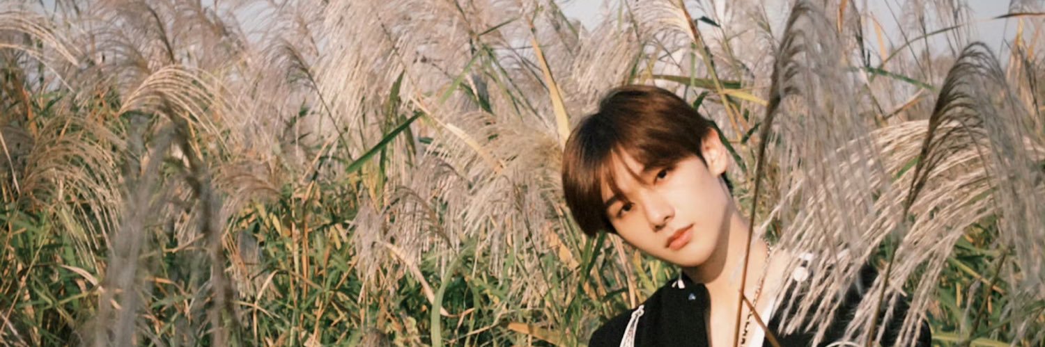huahua ꒱ 🐈‍⬛🎀 ‧₊˚ banner