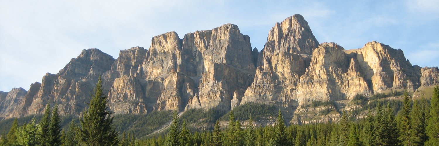 ThomasDeSpiegelaere banner