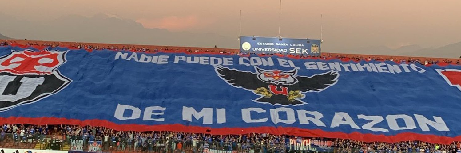 🦉 banner
