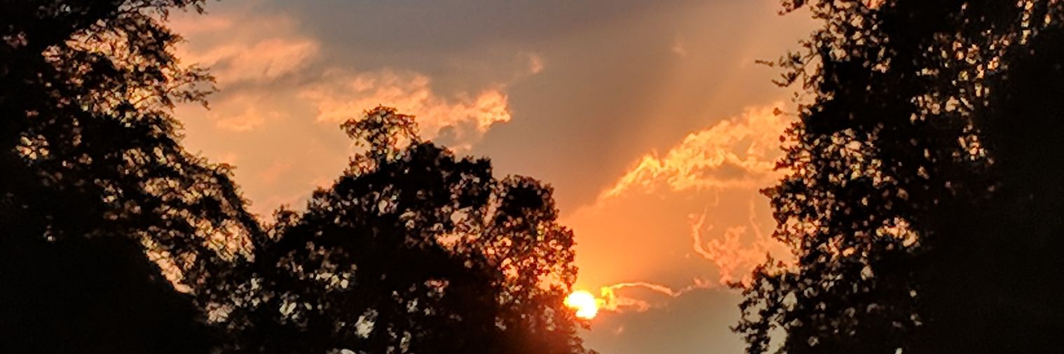 Sharon B banner