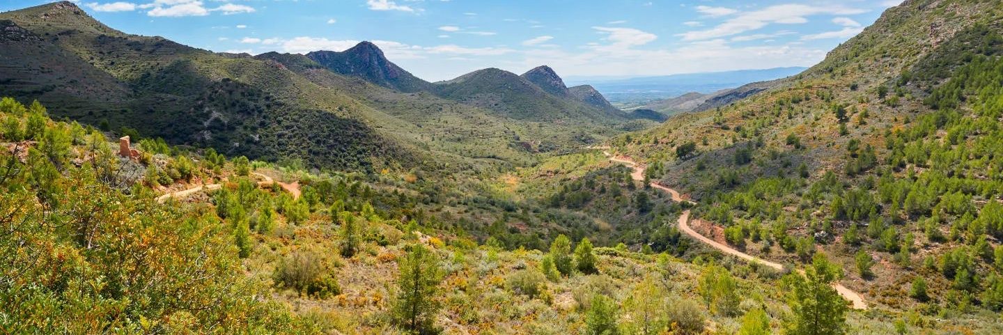 República de Tiberia banner