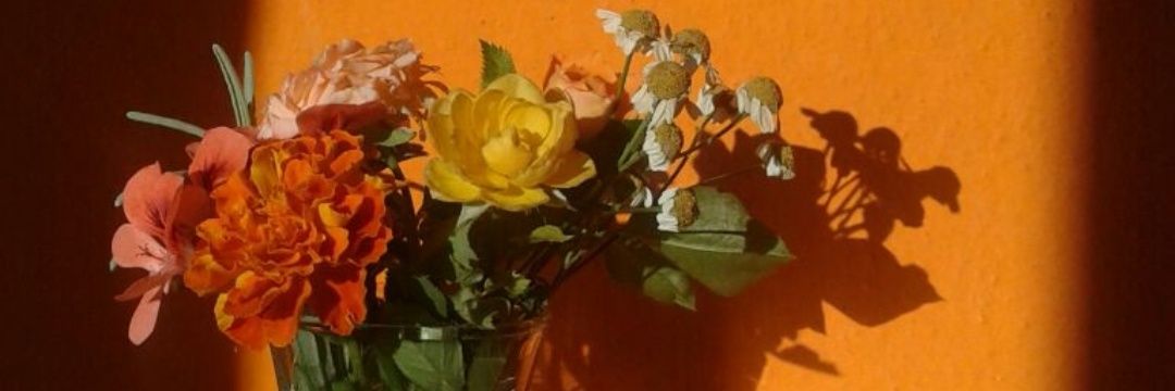 _Deadleaves's profile banner image