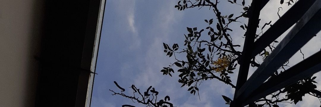 Fer🦕 banner