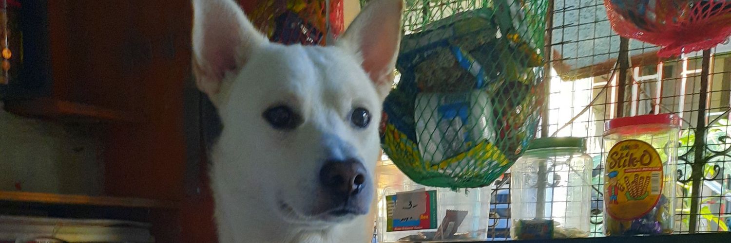 krismay 🇵🇭 banner