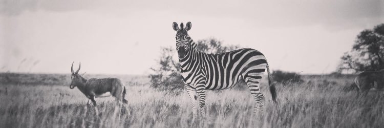 0328_max's profile banner image