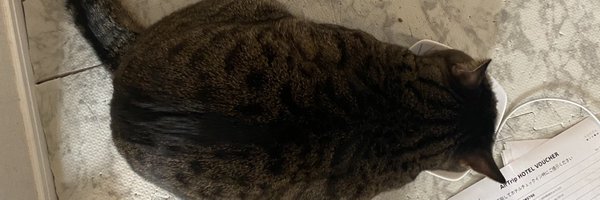 Apresmidi_pub Profile Banner