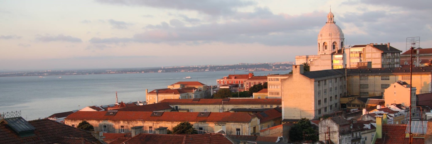 Mara Clemente banner