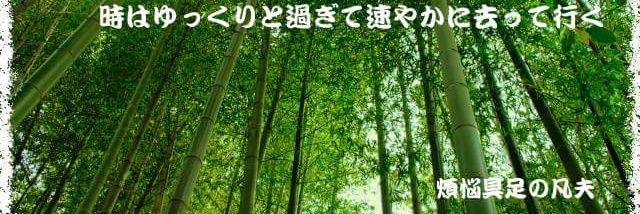 TommyTani's profile banner image