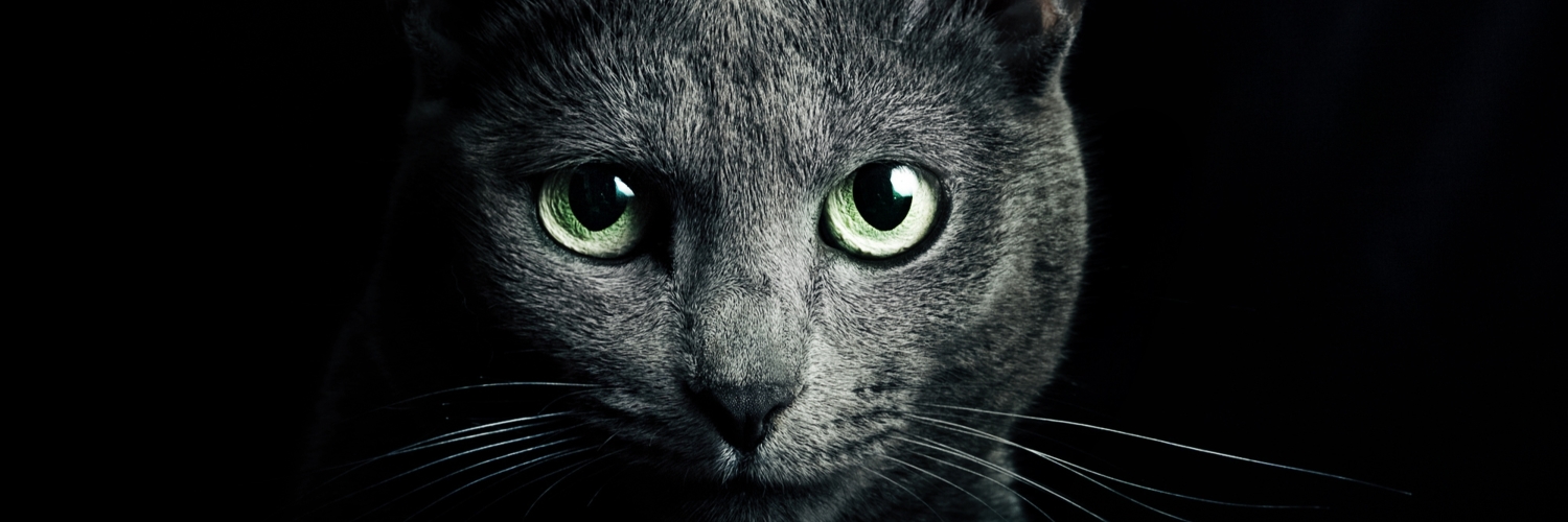 JammerrG's profile banner image