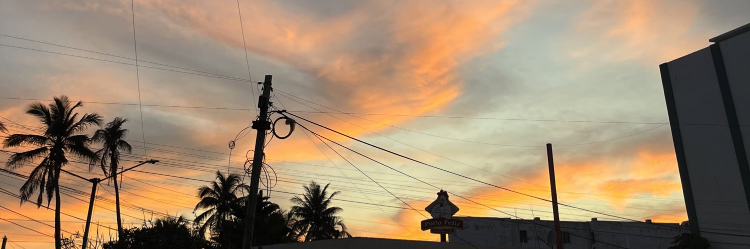 apipi_roman's profile banner image