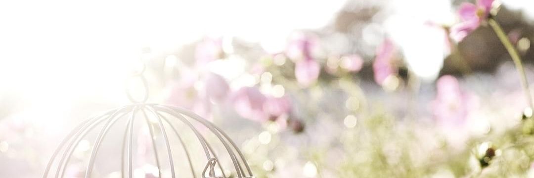 AngelaRennyR's profile banner image