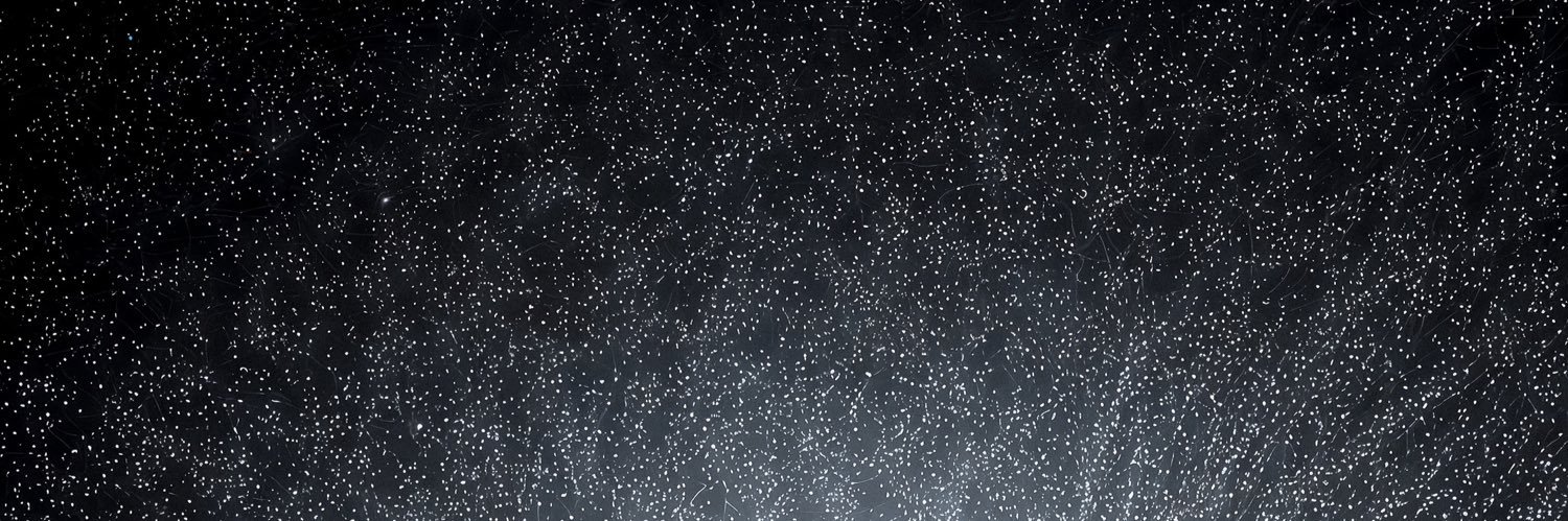 CodyCoyoteCook's profile banner image