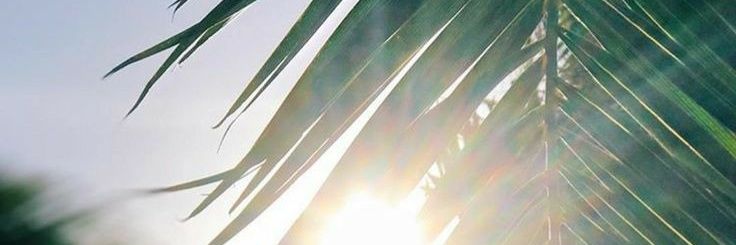 Inpacesuum's profile banner image